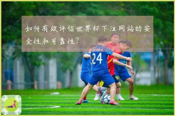 如何有效评估世界杯下注网站的安全性和可靠性？