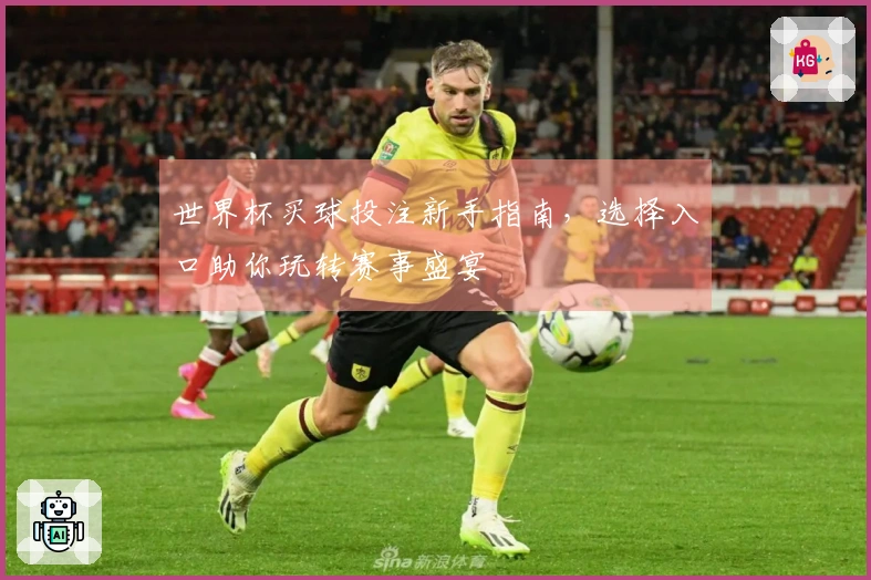 世界杯买球投注新手指南，选择入口助你玩转赛事盛宴