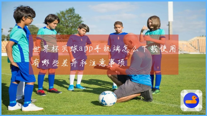 世界杯买球app手机端怎么下载使用有哪些差异和注意事项