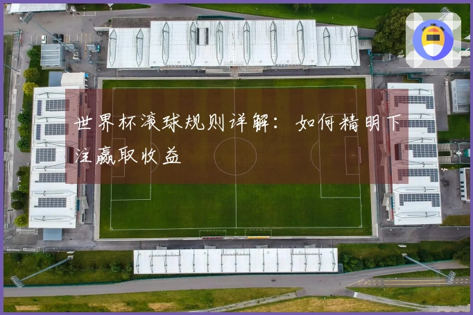世界杯滚球规则详解：如何精明下注赢取收益
