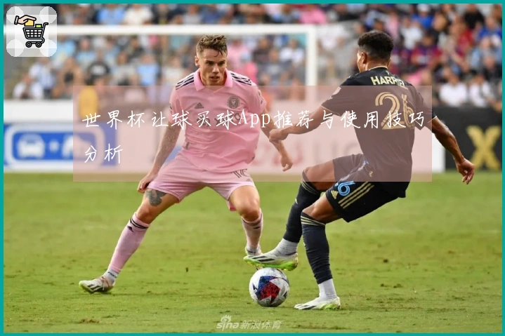 世界杯让球买球App推荐与使用技巧分析