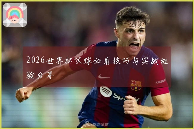 2026世界杯买球必看技巧与实战经验分享