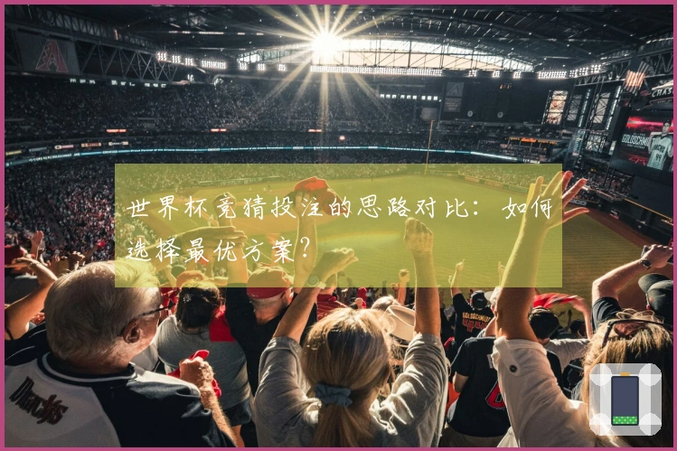 世界杯竞猜投注的思路对比：如何选择最优方案？