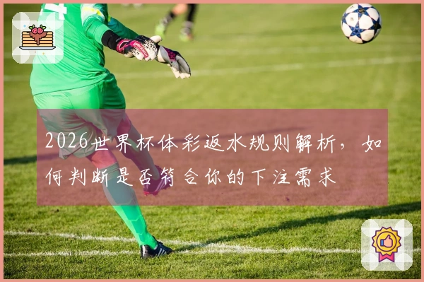2026世界杯体彩返水规则解析，如何判断是否符合你的下注需求