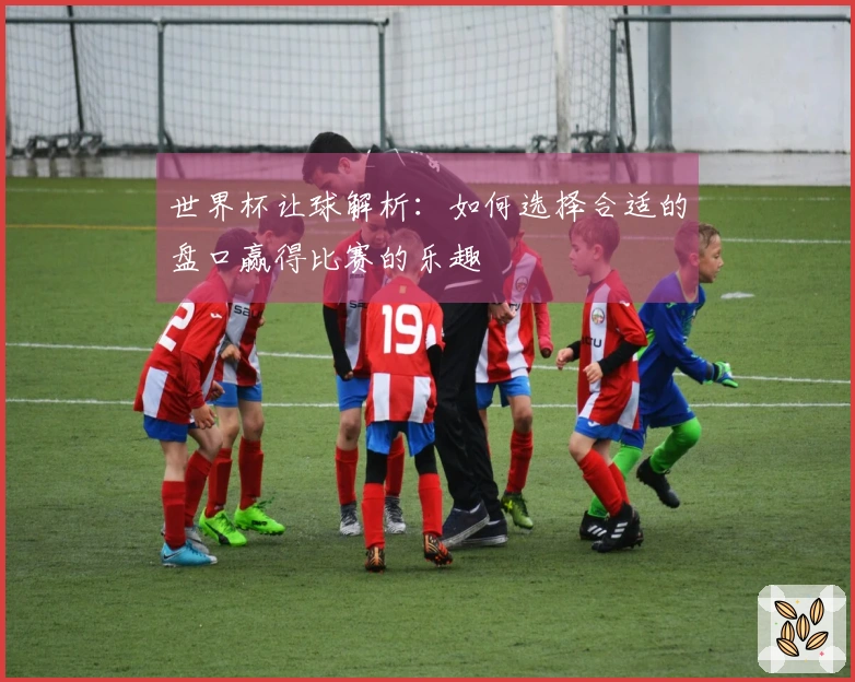 世界杯让球解析：如何选择合适的盘口赢得比赛的乐趣