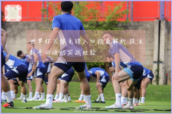 世界杯买球竞猜入口指南解析 投注新手必读的实战经验