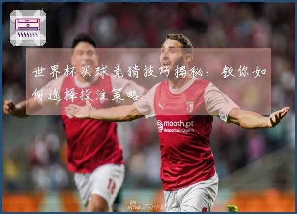 世界杯买球竞猜技巧揭秘，教你如何选择投注策略