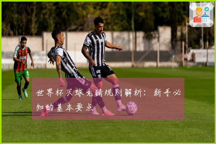 世界杯买球竞猜规则解析：新手必知的基本要点