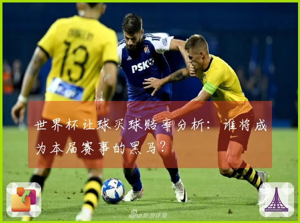 世界杯让球买球赔率分析：谁将成为本届赛事的黑马？