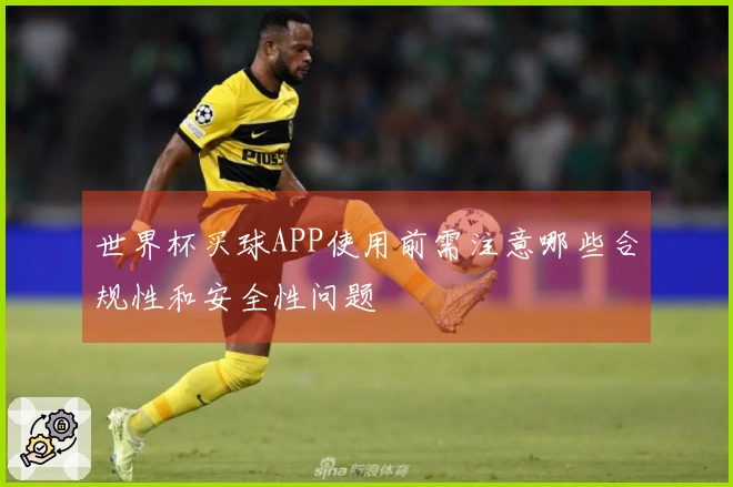 世界杯买球APP使用前需注意哪些合规性和安全性问题