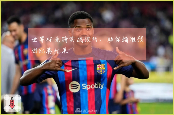 世界杯竞猜实战技巧，助你精准预测比赛结果