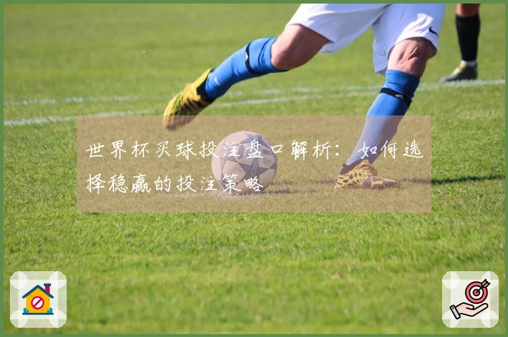 世界杯买球投注盘口解析：如何选择稳赢的投注策略