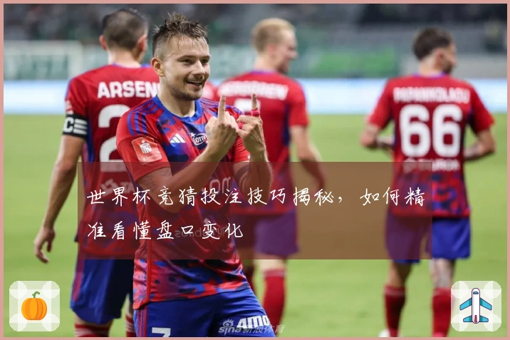 世界杯竞猜投注技巧揭秘，如何精准看懂盘口变化