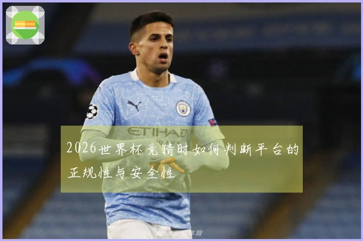 2026世界杯竞猜时如何判断平台的正规性与安全性