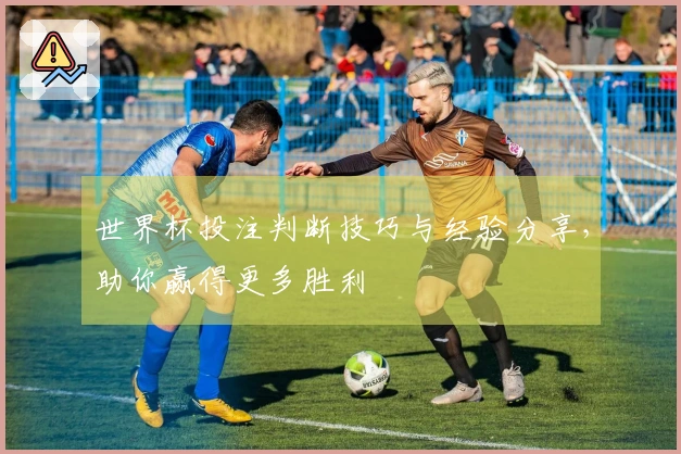 世界杯投注判断技巧与经验分享，助你赢得更多胜利