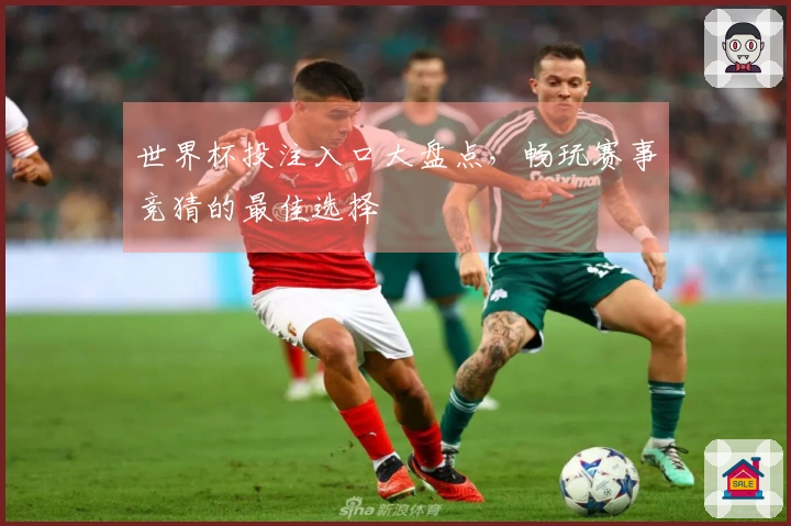 世界杯投注入口大盘点，畅玩赛事竞猜的最佳选择