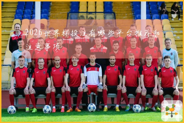 2026世界杯投注有哪些平台推荐和注意事项