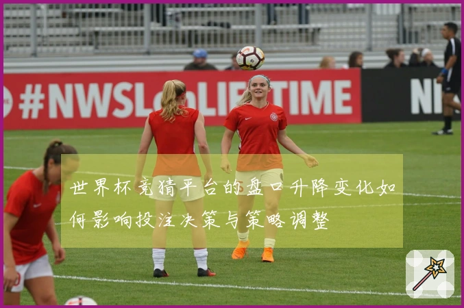 世界杯竞猜平台的盘口升降变化如何影响投注决策与策略调整