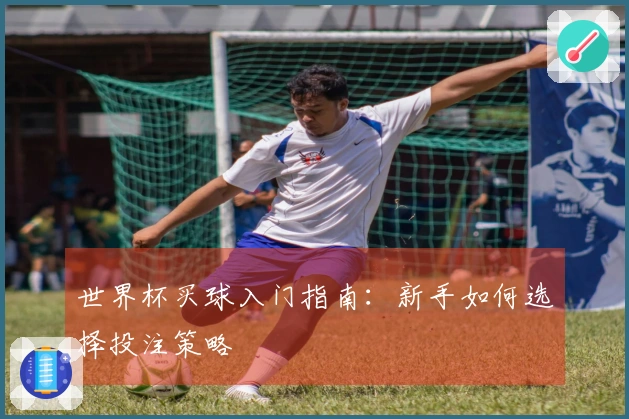世界杯买球入门指南：新手如何选择投注策略