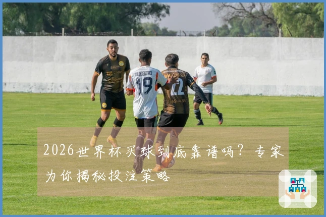2026世界杯买球到底靠谱吗？专家为你揭秘投注策略