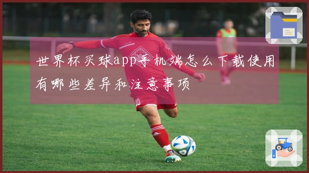 世界杯买球app手机端怎么下载使用有哪些差异和注意事项